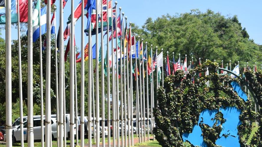 UNON Compound with flags