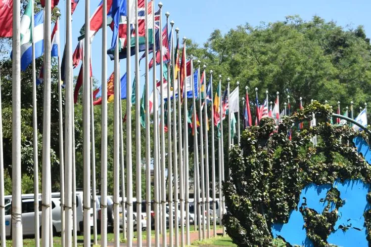 UNON Compound with flags