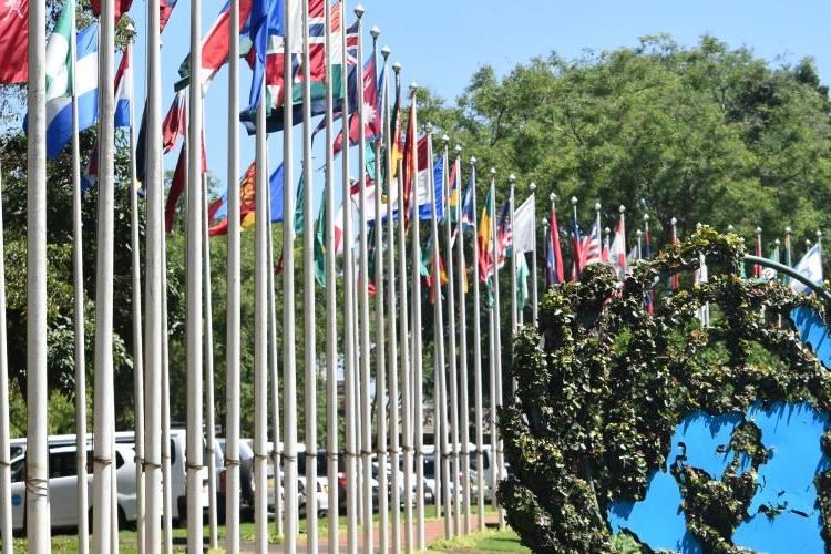 UNON Compound with flags